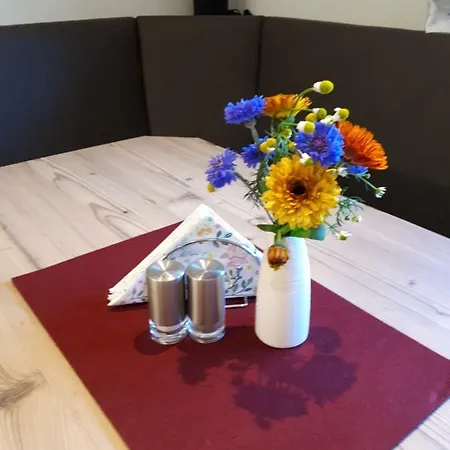 Hinterschwarzenau 公寓 *