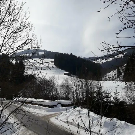 Hinterschwarzenau Апартаменты Ауффах