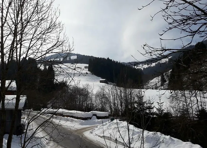 Hinterschwarzenau Апартаменты Ауффах